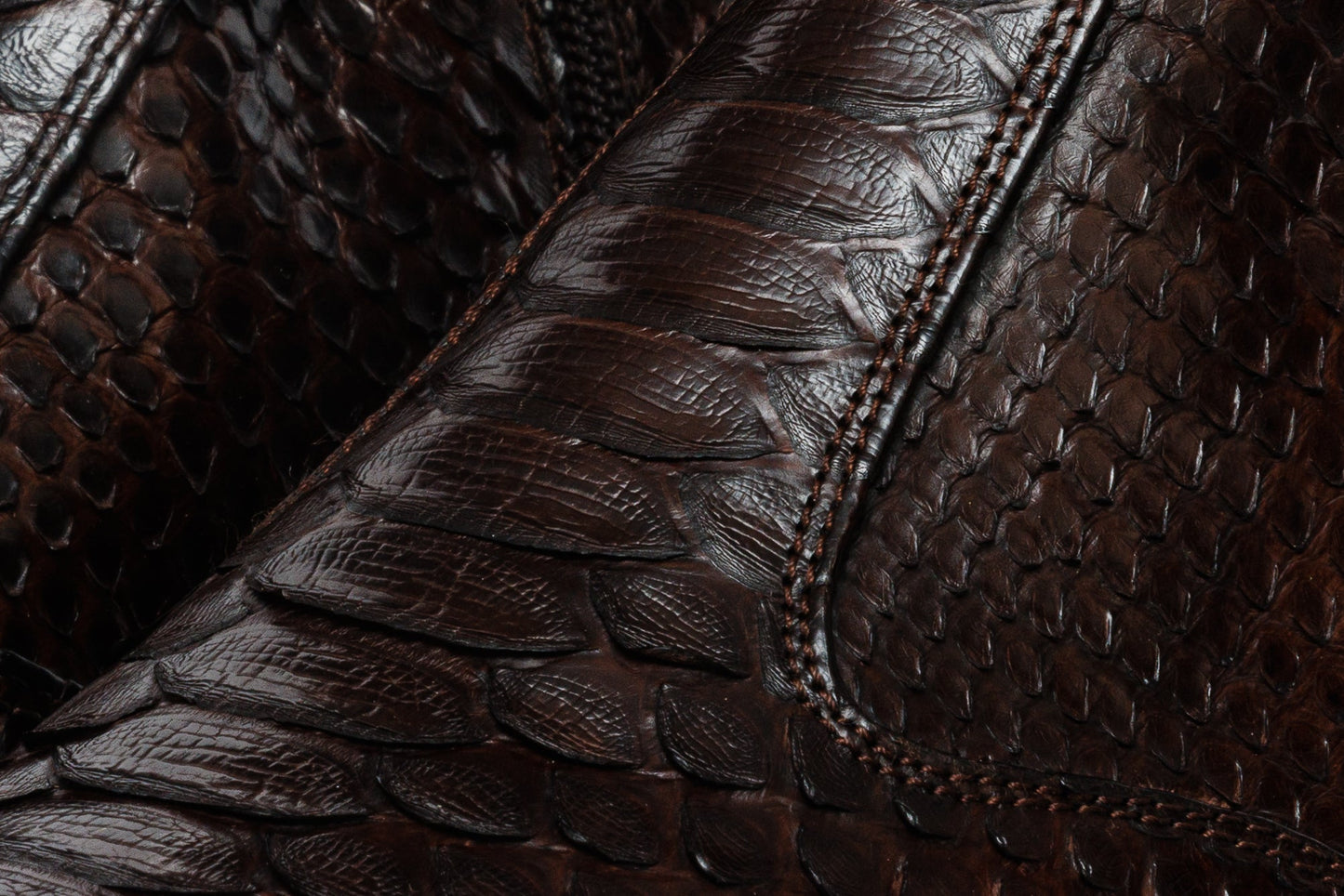 The Boss Brown Pythn Snk Zip-Up Leather Men Boot Limited Edition