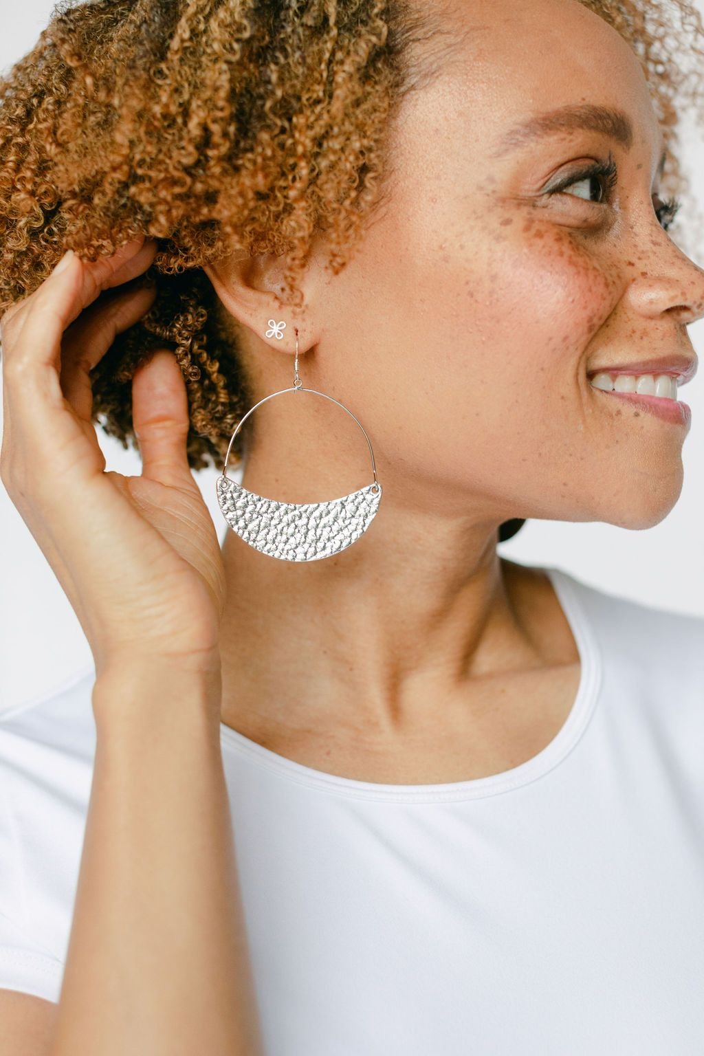 Hammered Silver Asters