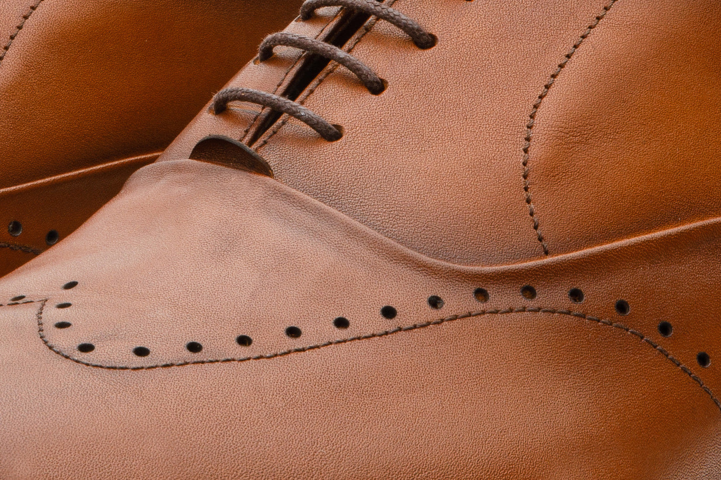 The Roma Tan Leather Wingtip Oxford Men Shoe